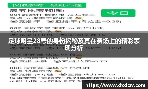 足球明星28号的身份揭秘及其在赛场上的精彩表现分析